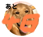 772691902