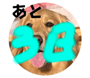772691903