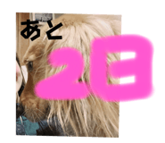 772691904