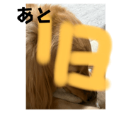 772691905