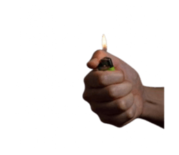 772694445