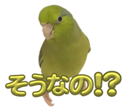 772696840