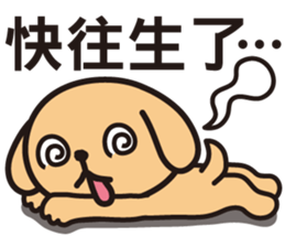 7726971