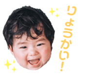 772701603