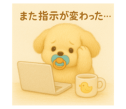 772701620