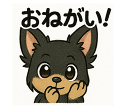 772701666