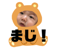 772702532
