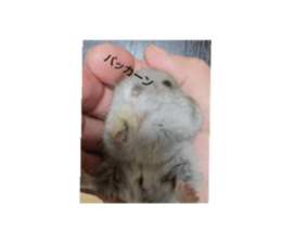 772705014