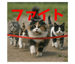 772706494