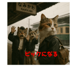 772706501