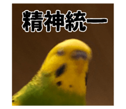 772708146