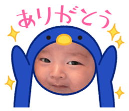 772711434