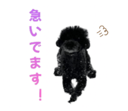 772712271