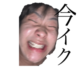 772712393