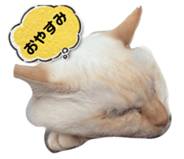 772712473