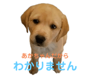 772712860