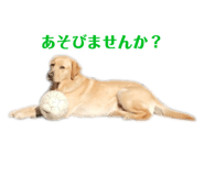 772712864