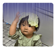 772713412