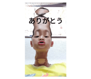 772713613
