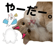 772717154