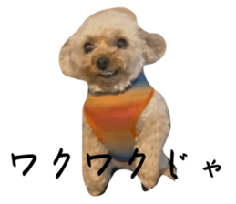 772719554