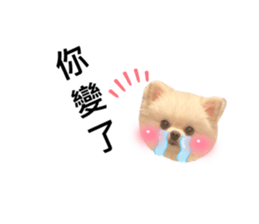 772720236