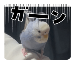 772722125