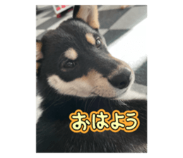 772722533