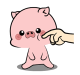 772737030