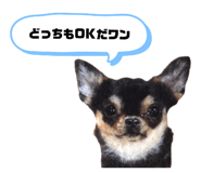 772737430