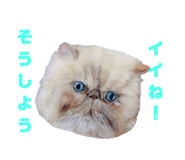 772737431