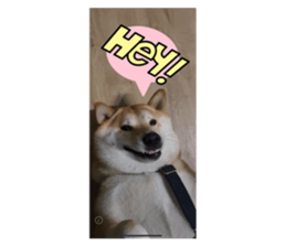 772738002