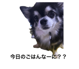 772741139
