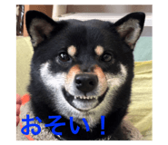 772741234
