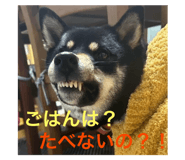 772741238