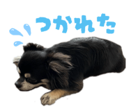 772741496