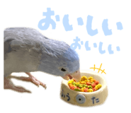 772741501