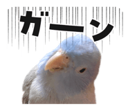 772741503