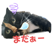 772742466