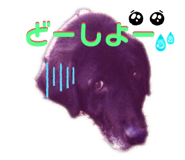 772742468