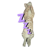 772742469