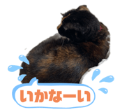 772742478