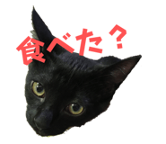 772742483
