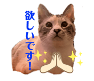 772742486