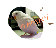 772742849
