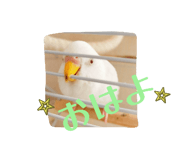 772742850