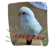 772742852