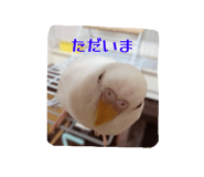 772742854