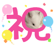 772742997