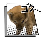 772758648